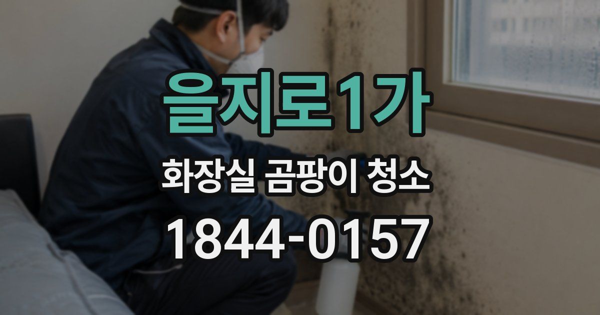 을지로1가 화장실 곰팡이 청소