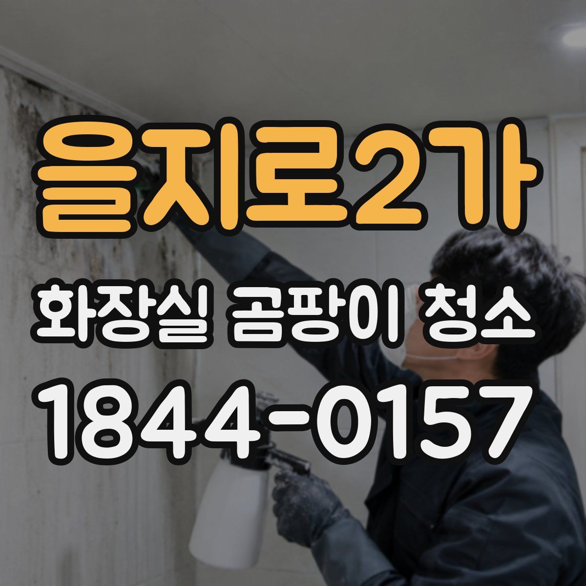 을지로2가 화장실 곰팡이 청소