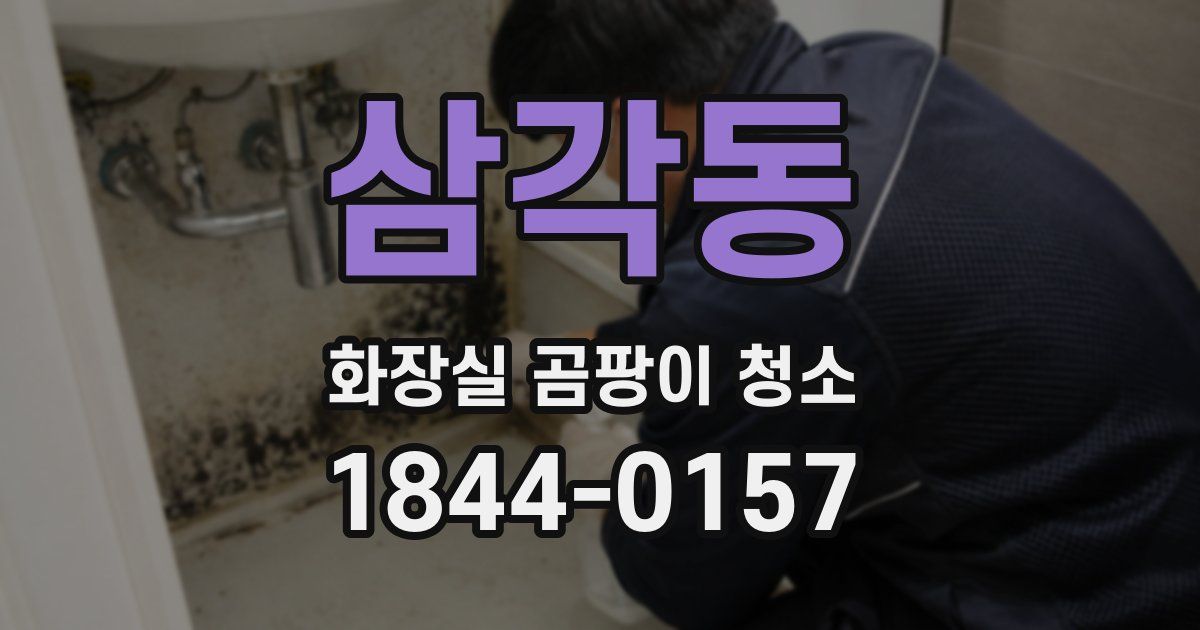 삼각동 화장실 곰팡이 청소