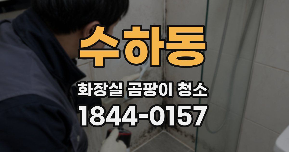 수하동 화장실 곰팡이 청소