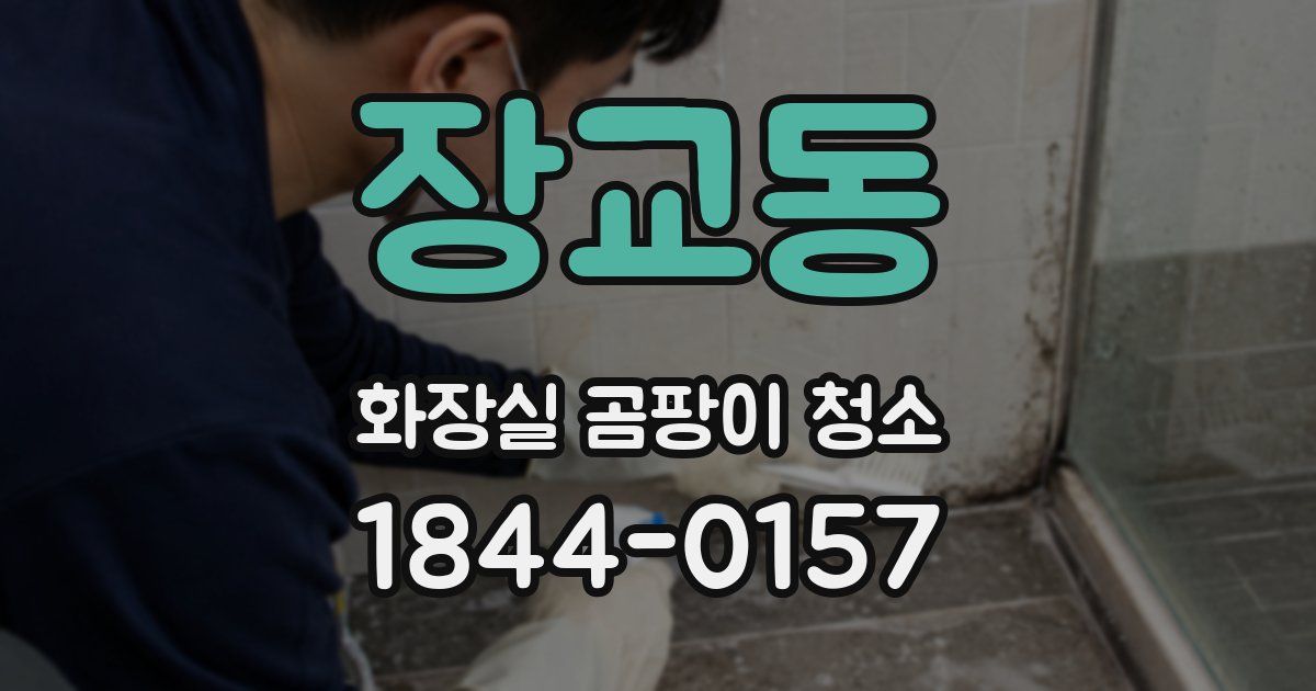 장교동 화장실 곰팡이 청소
