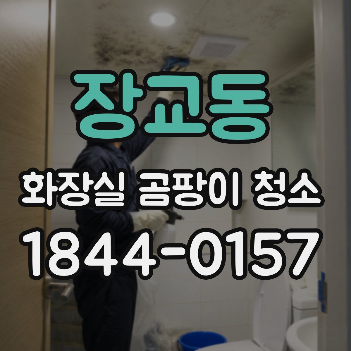 장교동 화장실 곰팡이 청소