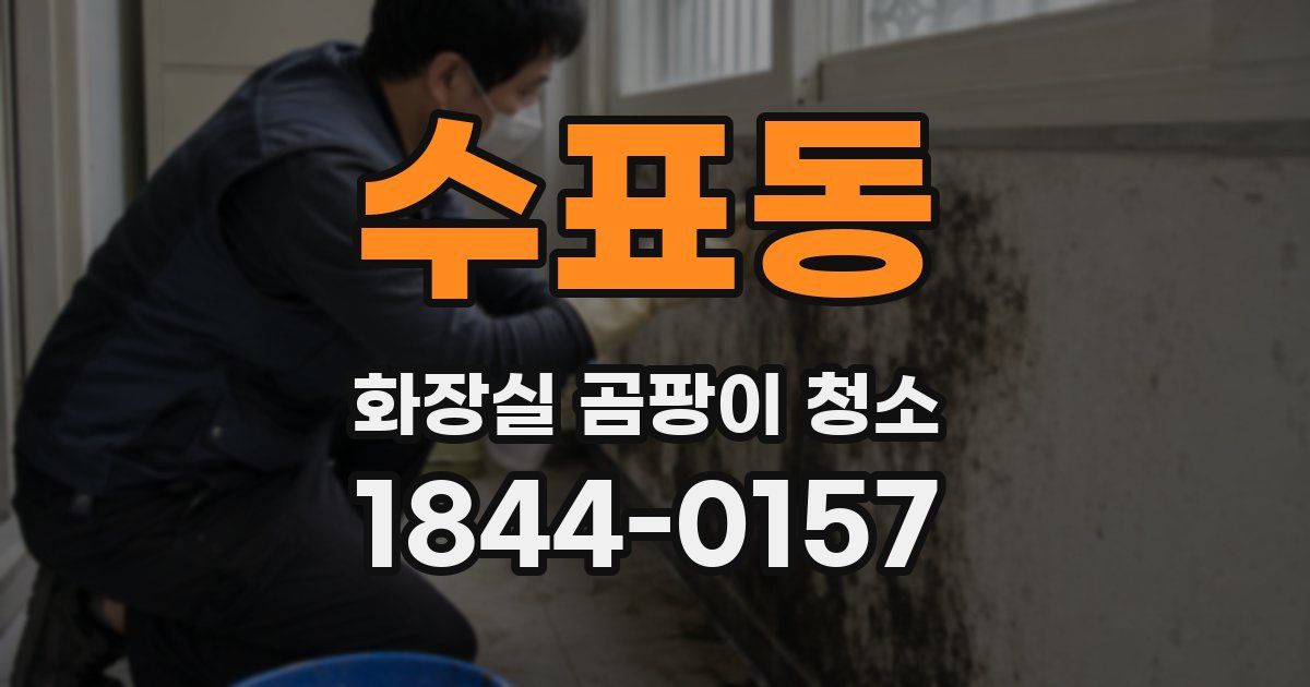 수표동 화장실 곰팡이 청소