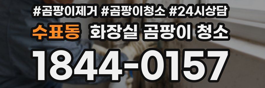 수표동 화장실 곰팡이 청소
