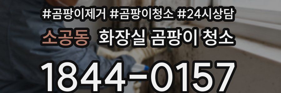 소공동 화장실 곰팡이 청소