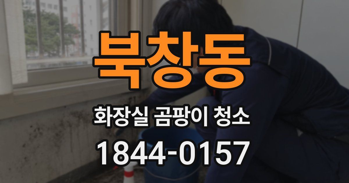북창동 화장실 곰팡이 청소