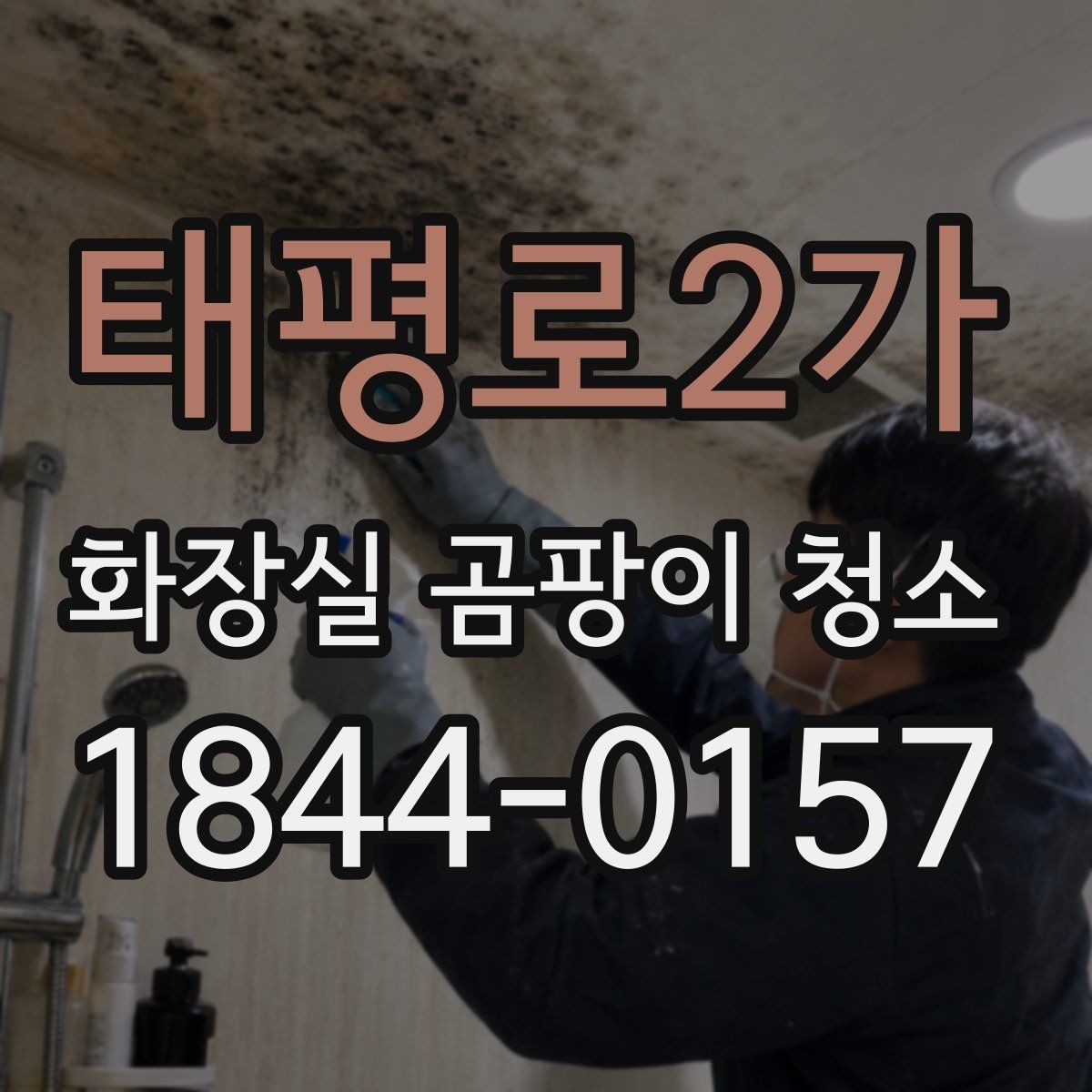 태평로2가 화장실 곰팡이 청소 세면대 아래 물고임이 반복될 때 볼 점