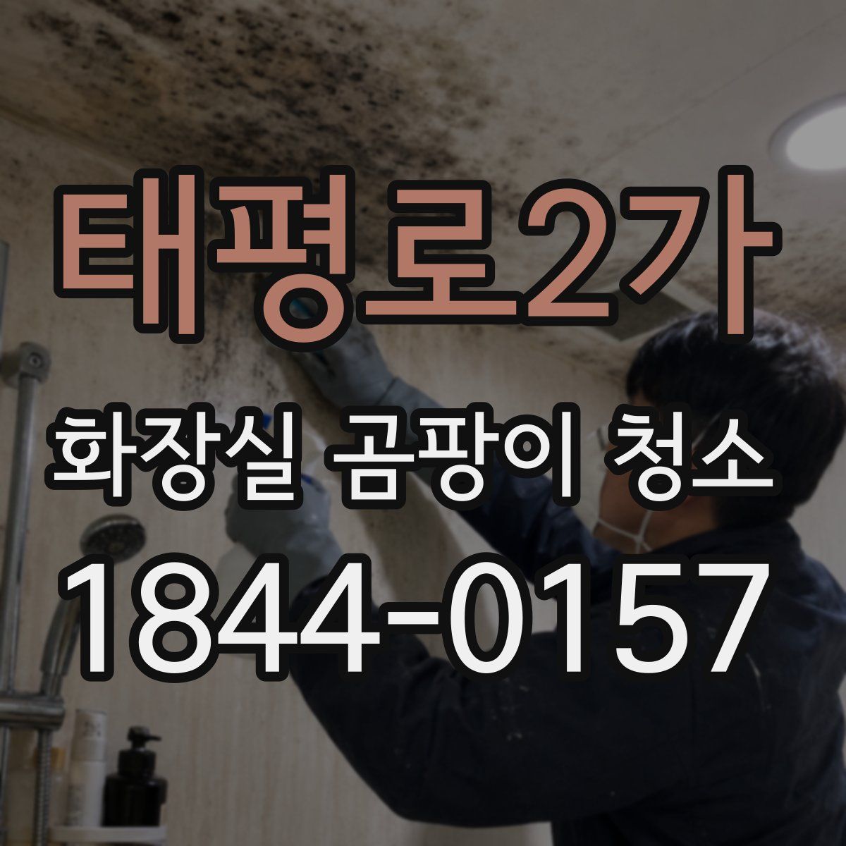 태평로2가 화장실 곰팡이 청소