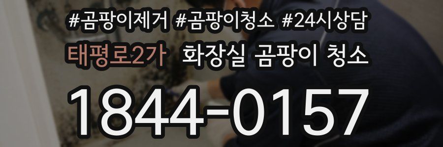 태평로2가 화장실 곰팡이 청소