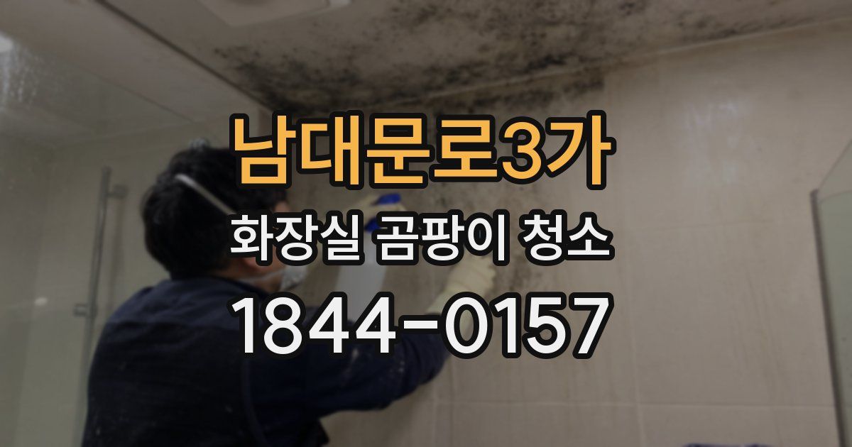 남대문로3가 화장실 곰팡이 청소