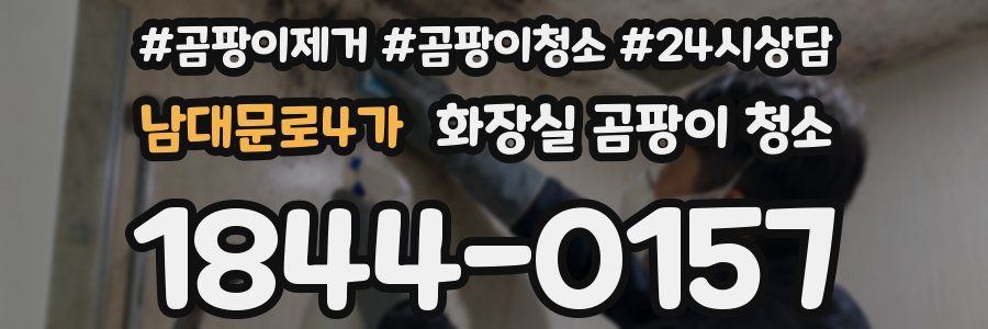 남대문로4가 화장실 곰팡이 청소
