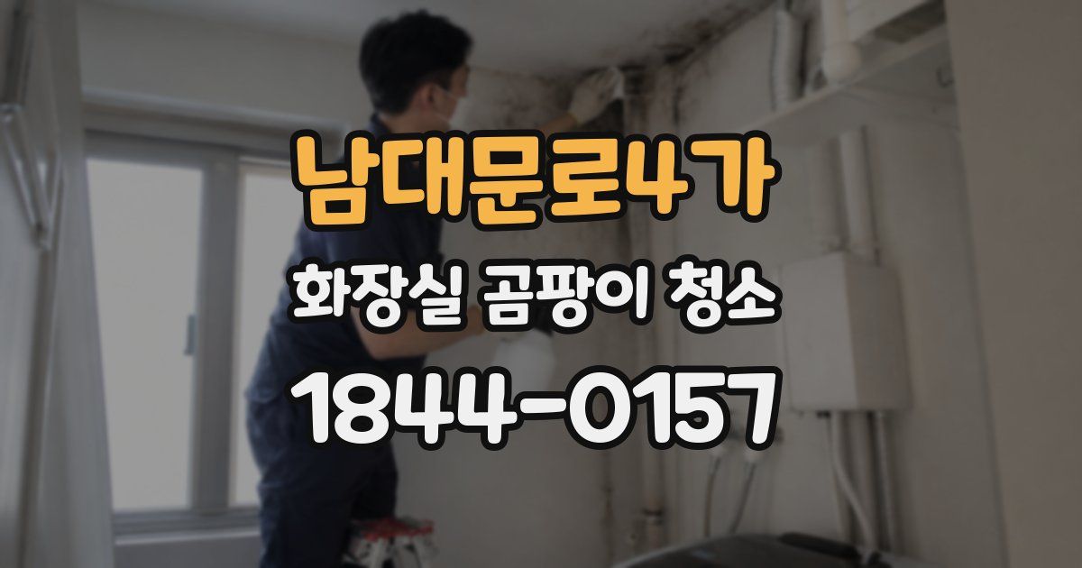 남대문로4가 화장실 곰팡이 청소