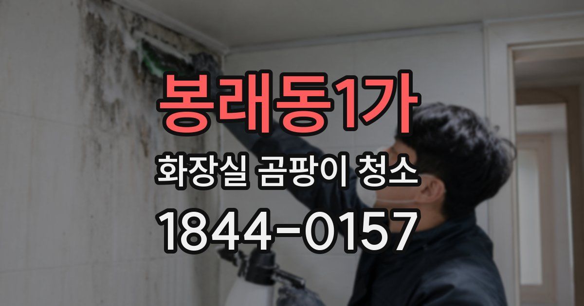 봉래동1가 화장실 곰팡이 청소