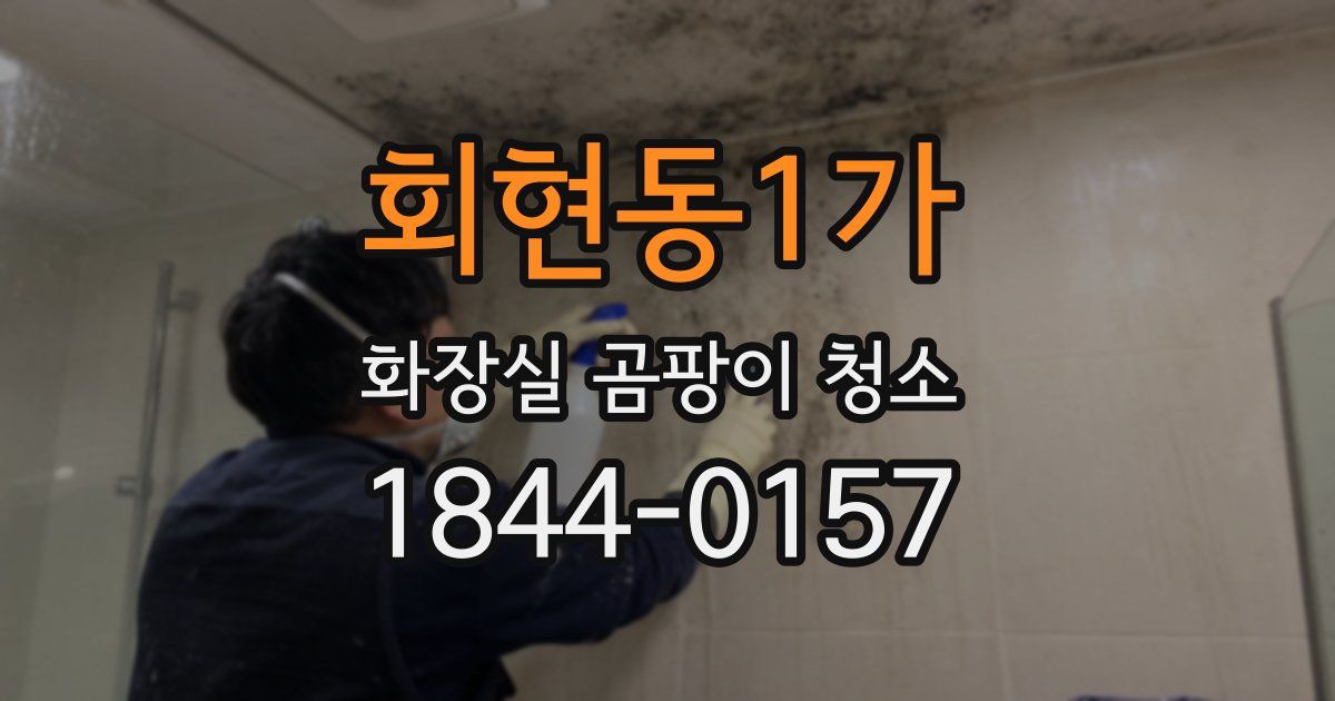 회현동1가 화장실 곰팡이 청소