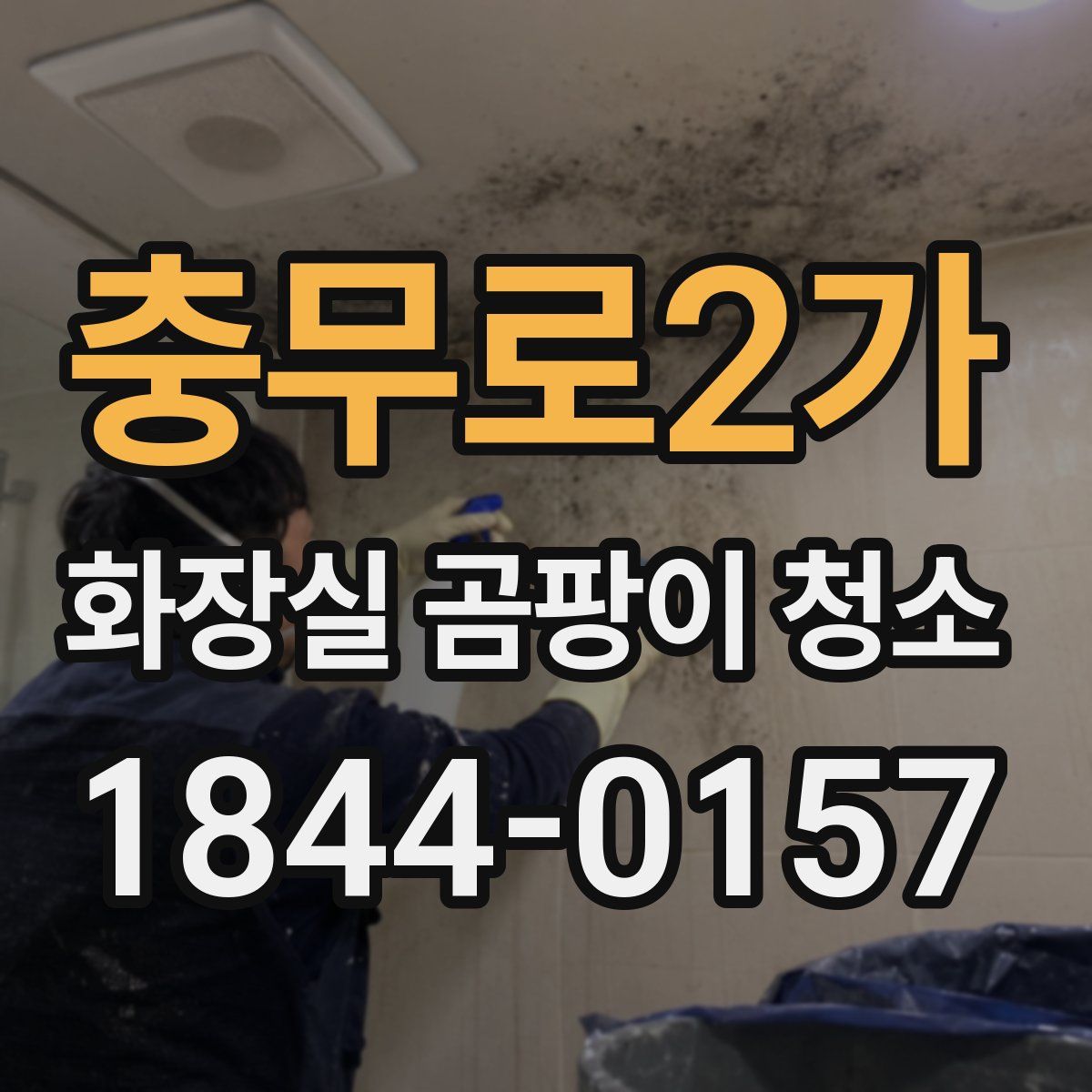 충무로2가 화장실 곰팡이 청소