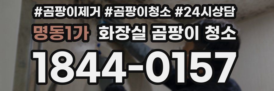 명동1가 화장실 곰팡이 청소