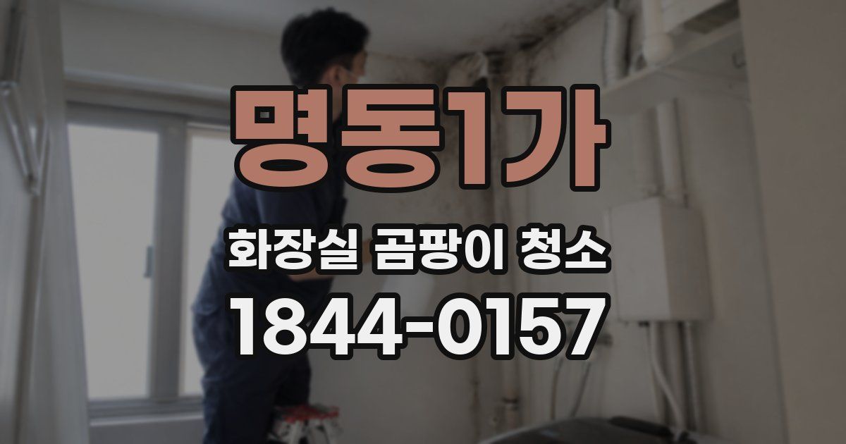 명동1가 화장실 곰팡이 청소