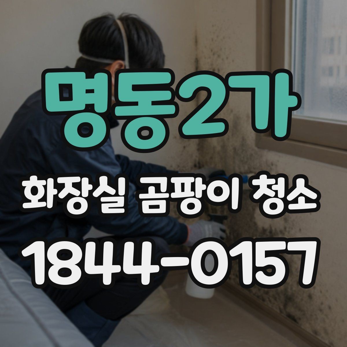 명동2가 화장실 곰팡이 청소 광택 타일과 무광 타일에 맞는 세척 포인트