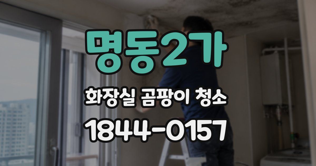명동2가 화장실 곰팡이 청소