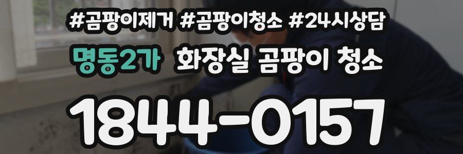명동2가 화장실 곰팡이 청소