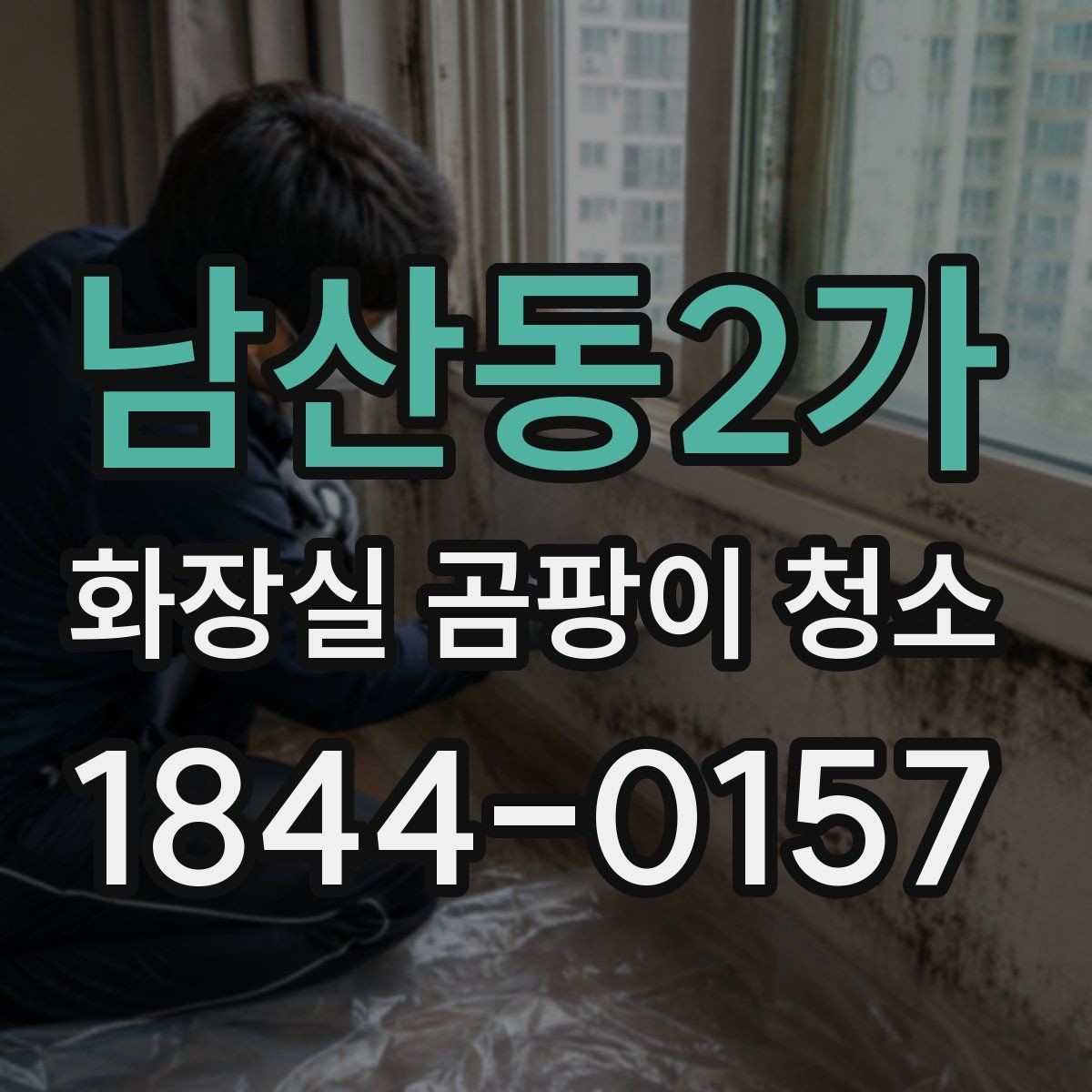 남산동2가 화장실 곰팡이 청소 세제별 성분 차이로 보는 선택 기준