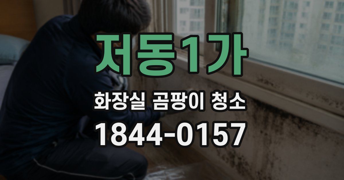 저동1가 화장실 곰팡이 청소