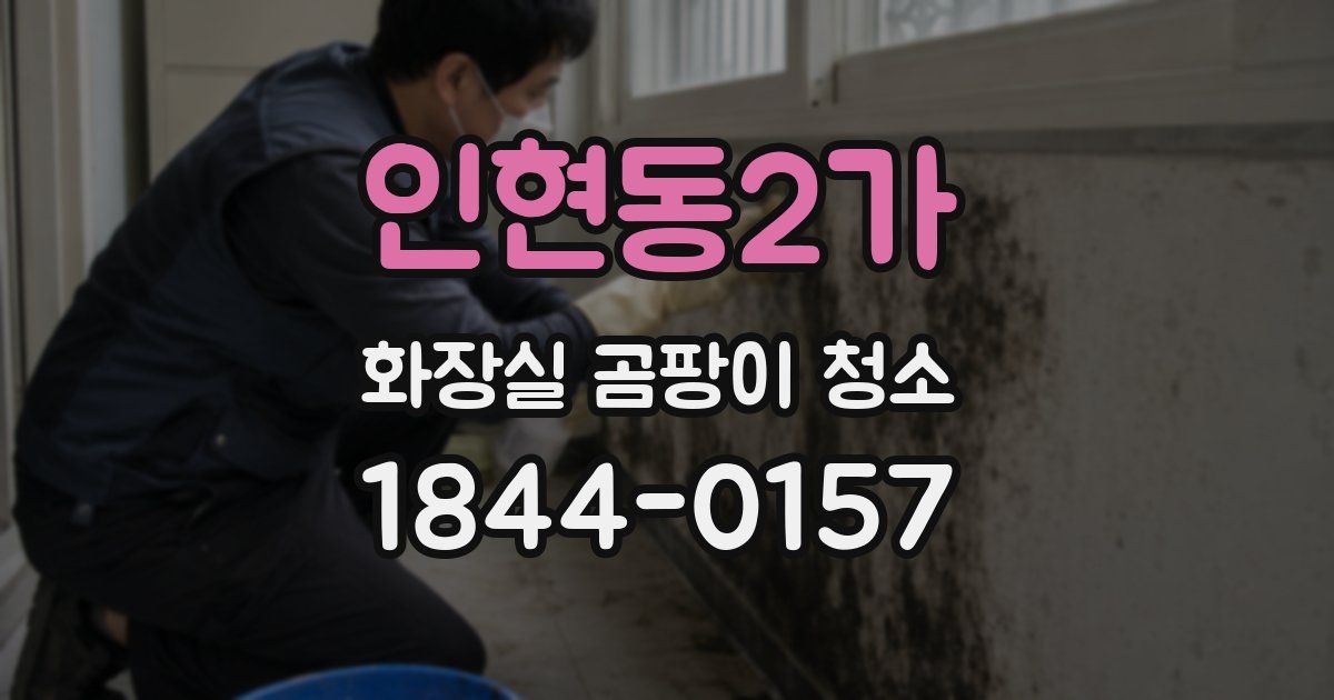 인현동2가 화장실 곰팡이 청소