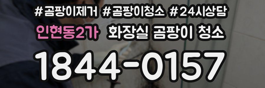 인현동2가 화장실 곰팡이 청소