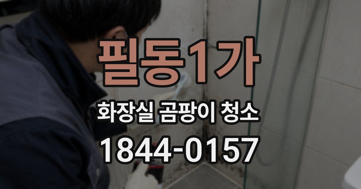 필동1가 화장실 곰팡이 청소
