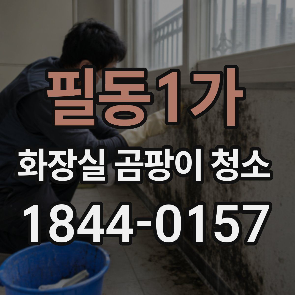 필동1가 화장실 곰팡이 청소