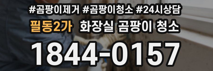 필동2가 화장실 곰팡이 청소