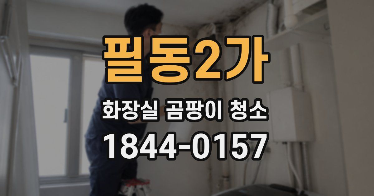 필동2가 화장실 곰팡이 청소