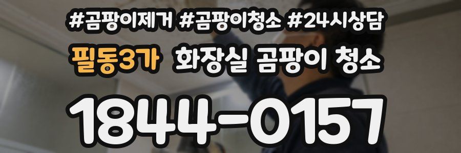 필동3가 화장실 곰팡이 청소