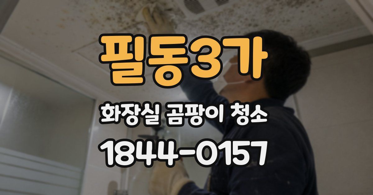 필동3가 화장실 곰팡이 청소