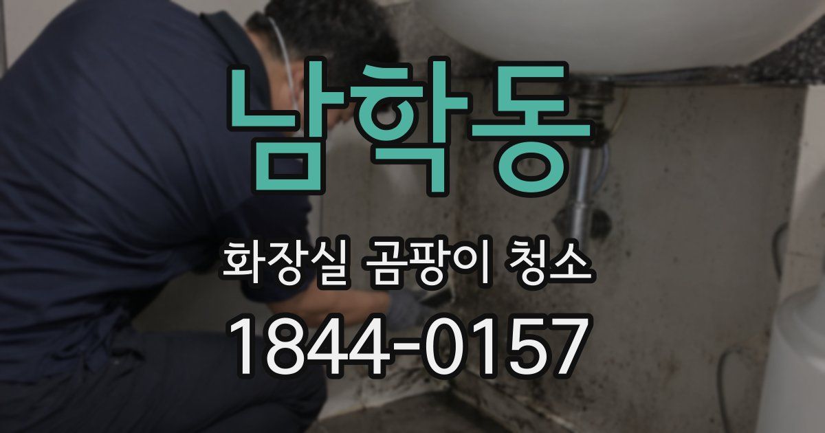 남학동 화장실 곰팡이 청소