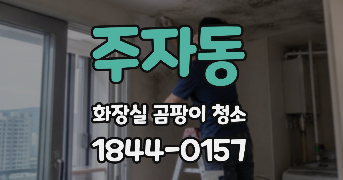 주자동 화장실 곰팡이 청소