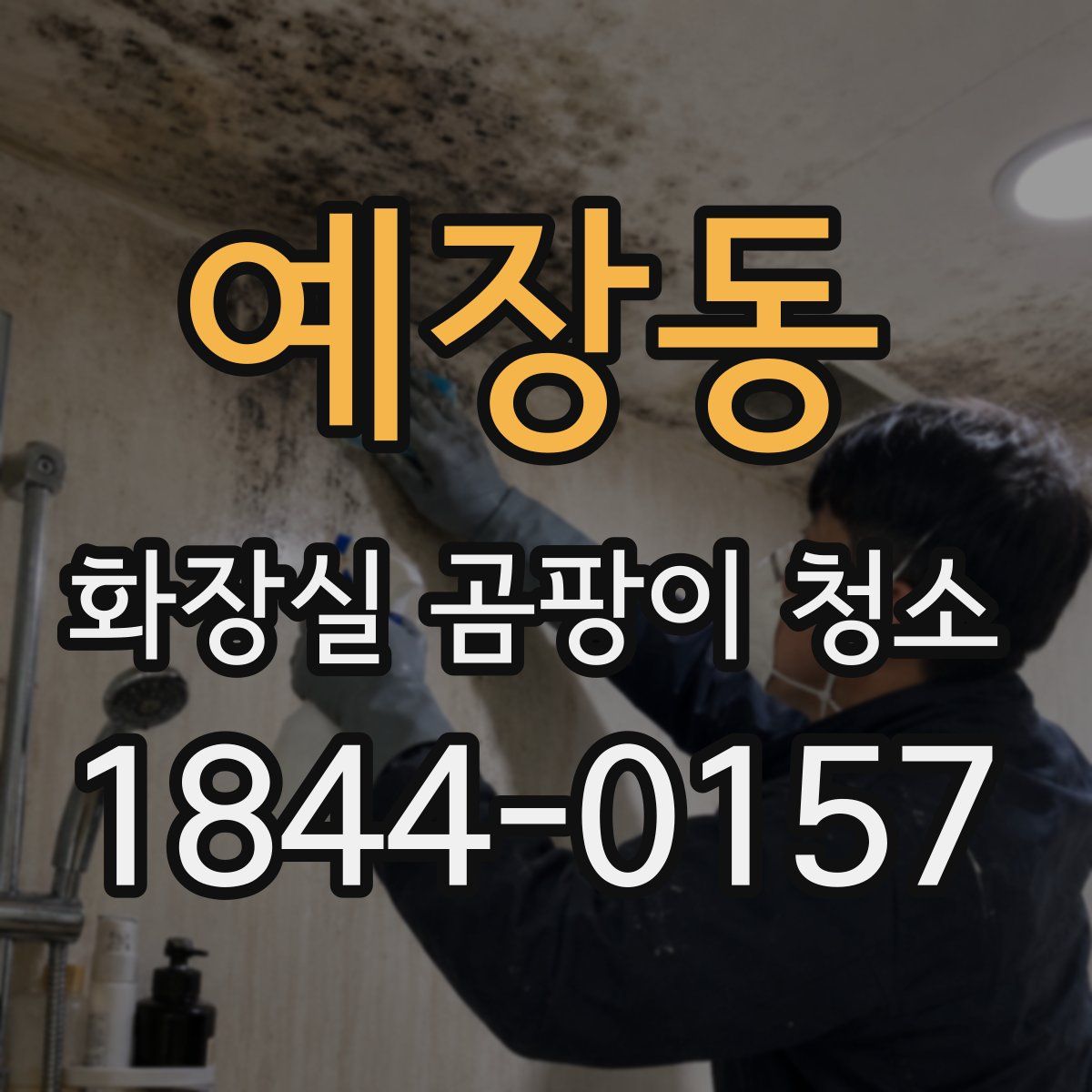 예장동 화장실 곰팡이 청소
