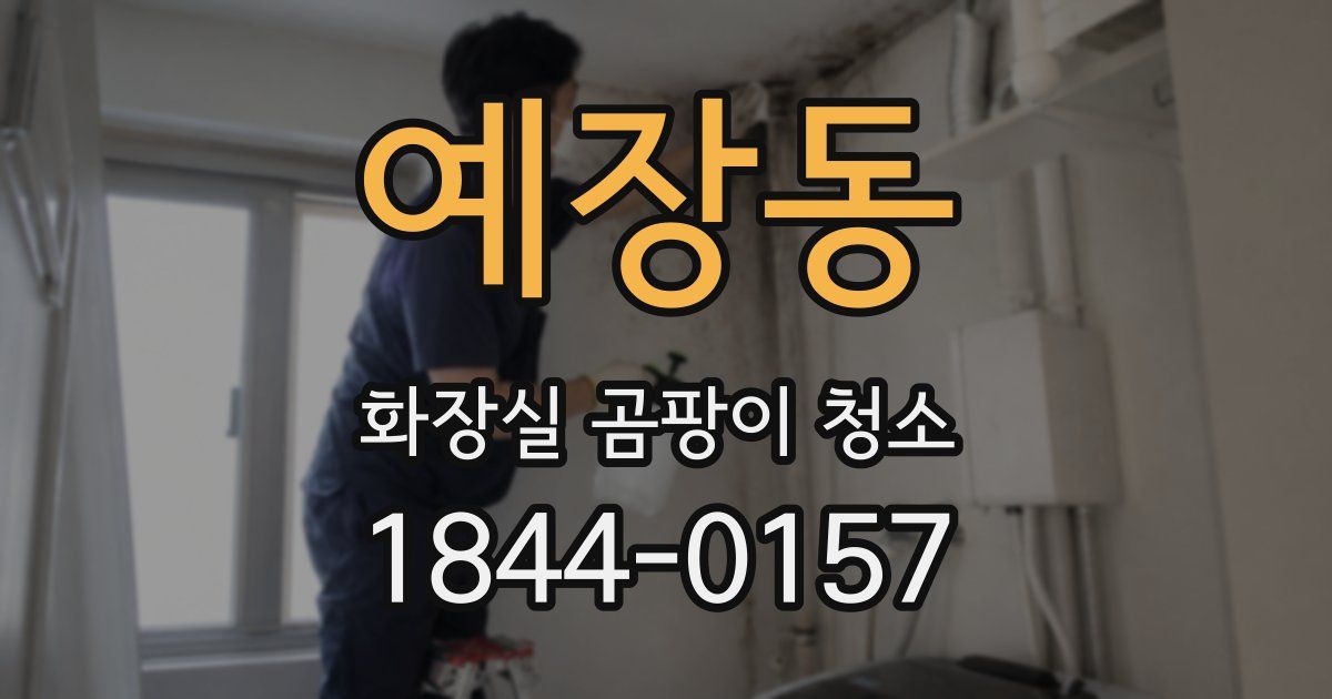 예장동 화장실 곰팡이 청소