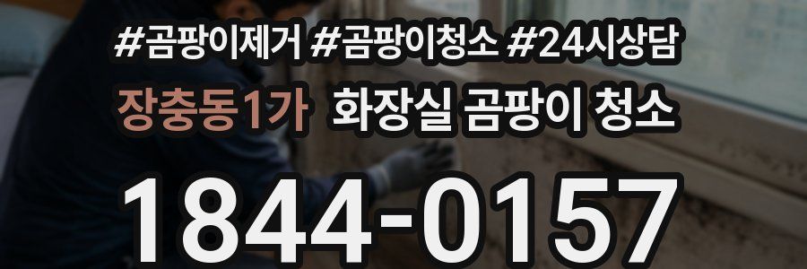 장충동1가 화장실 곰팡이 청소