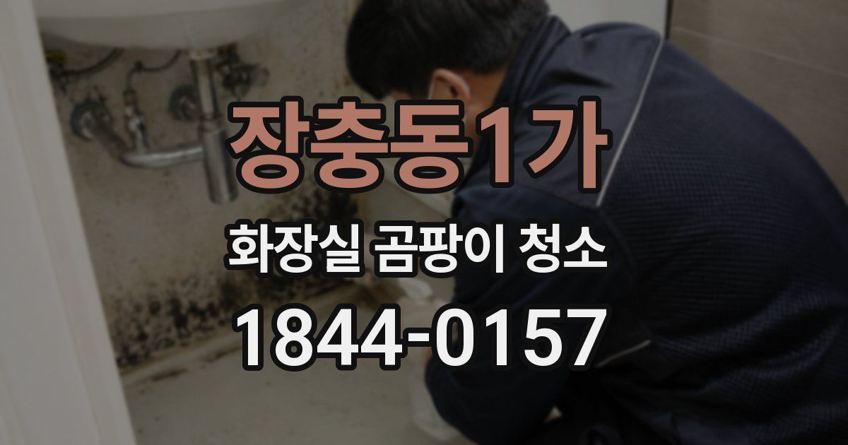 장충동1가 화장실 곰팡이 청소