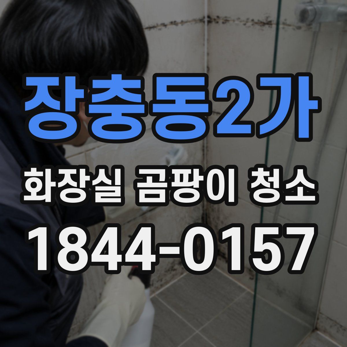 장충동2가 화장실 곰팡이 청소