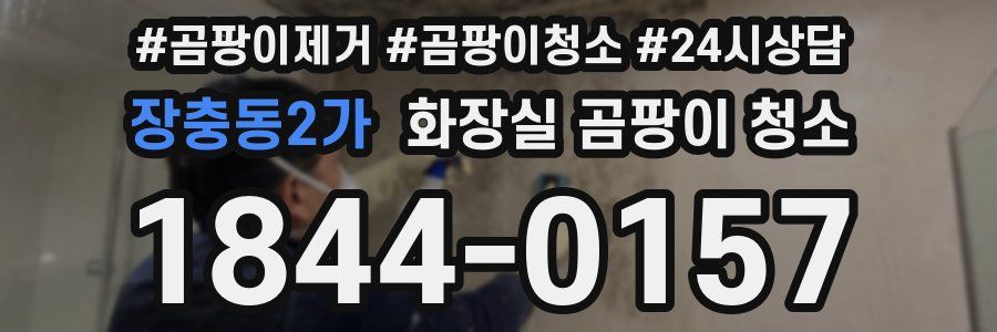 장충동2가 화장실 곰팡이 청소