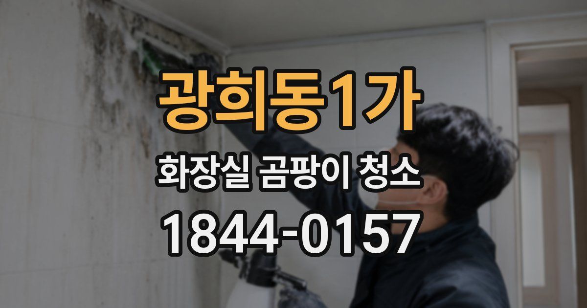 광희동1가 화장실 곰팡이 청소