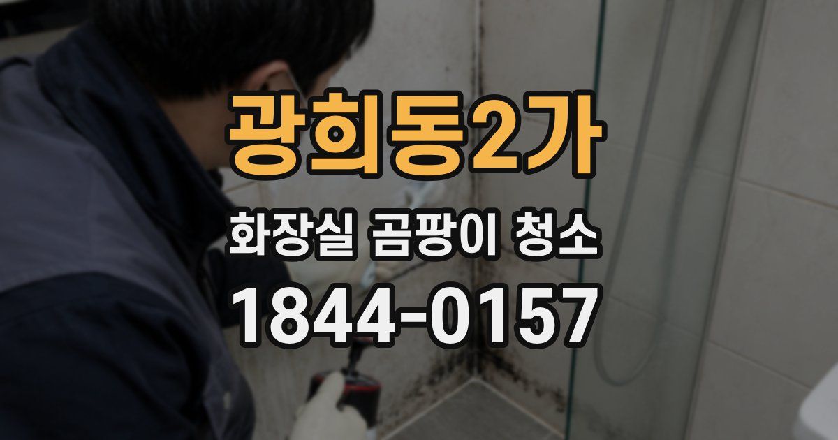 광희동2가 화장실 곰팡이 청소