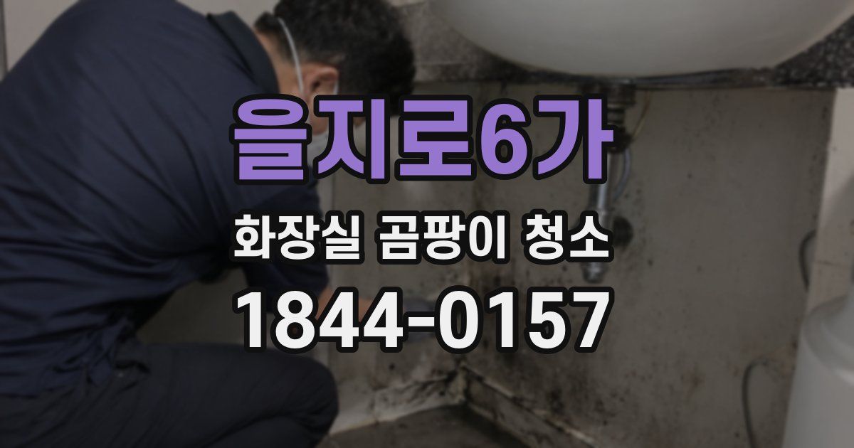 을지로6가 화장실 곰팡이 청소