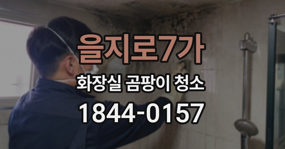 을지로7가 화장실 곰팡이 청소