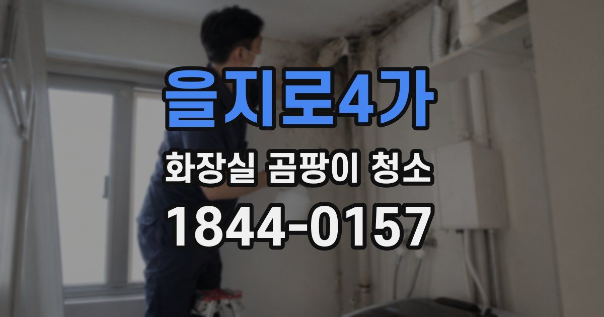 을지로4가 화장실 곰팡이 청소