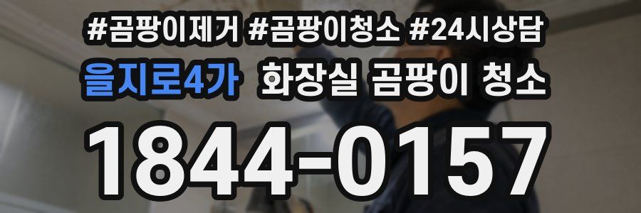 을지로4가 화장실 곰팡이 청소