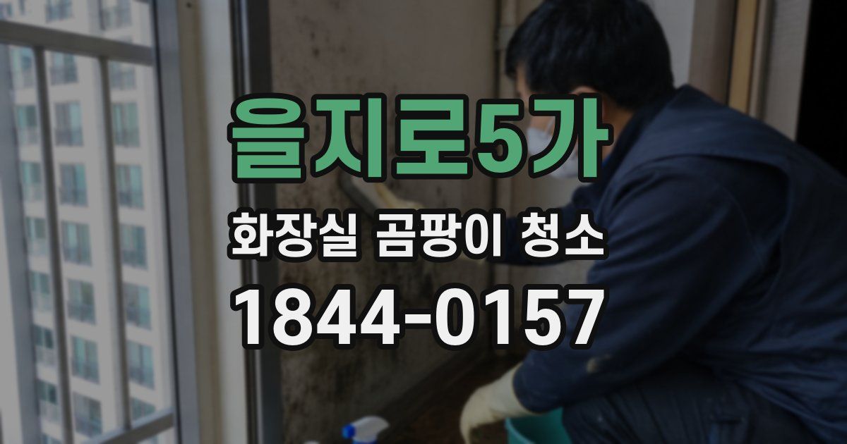 을지로5가 화장실 곰팡이 청소
