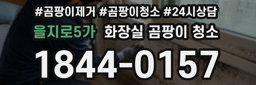 을지로5가 화장실 곰팡이 청소